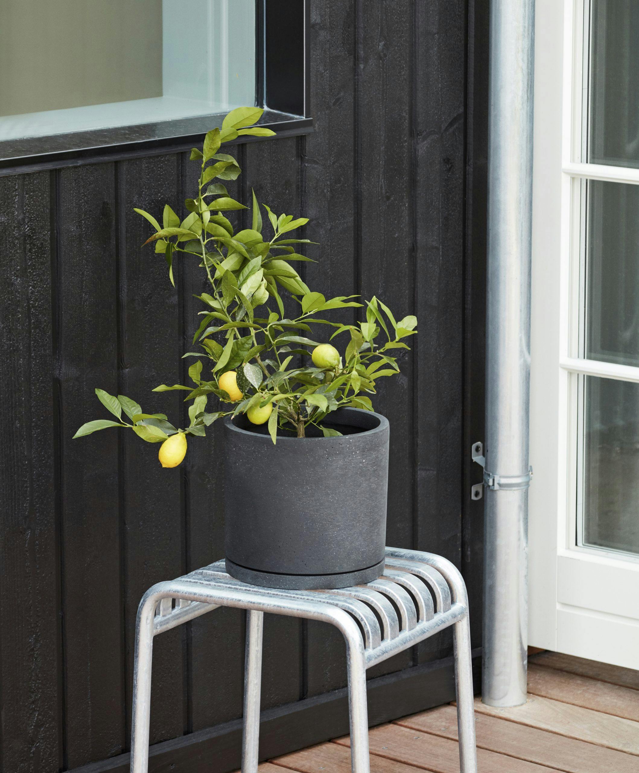 Fine sonedelere i urban stil blomsterkrukker i betong